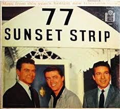 VARIOUS - 77 Sunset Strip-0