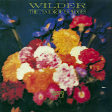 TEARDROP EXPLODES, THE - Wilder