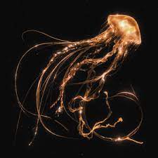 ROYAL BLOOD - Back To The Water Below