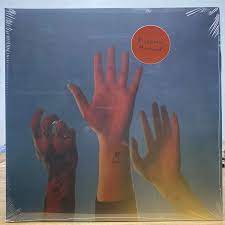 BOYGENIUS  The Record